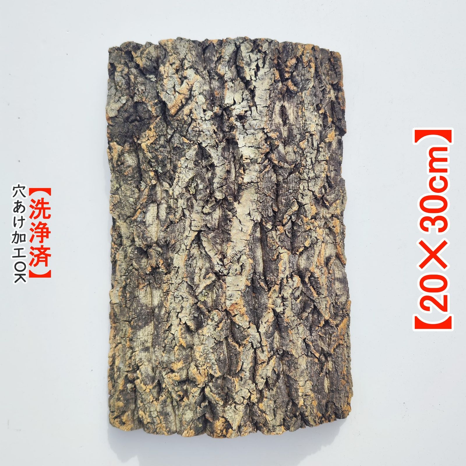 C050 ポルトガル産 キャノンコルク コルク樹皮 コルク板 バージン