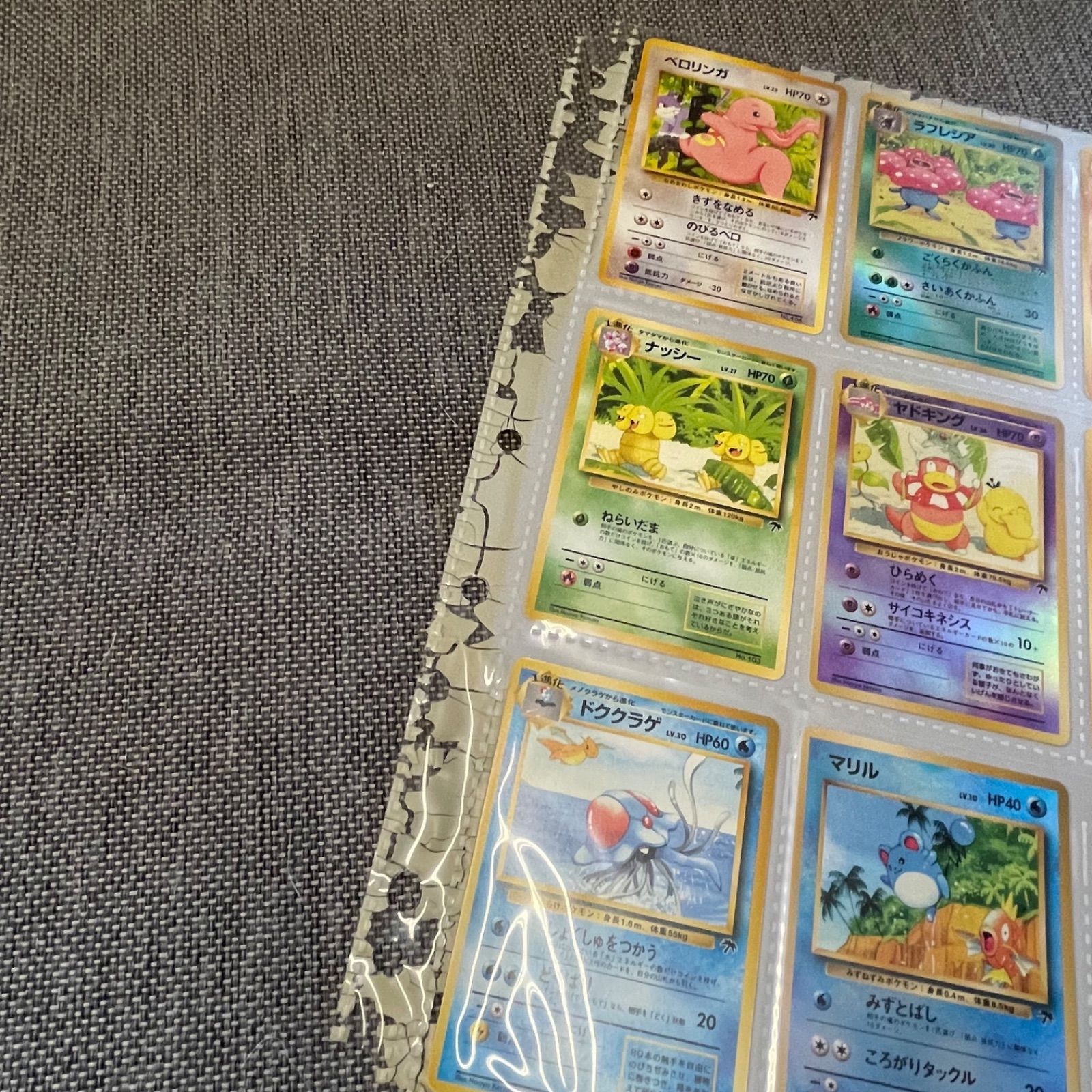 ポケモンカードゲーム 旧裏 サザンアイランド トロピカルアイランド