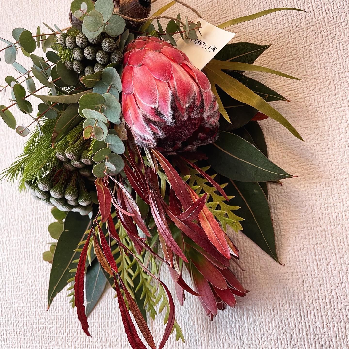 キングプロテアとバーゼリアのスワッグ 酸っぱかっ 