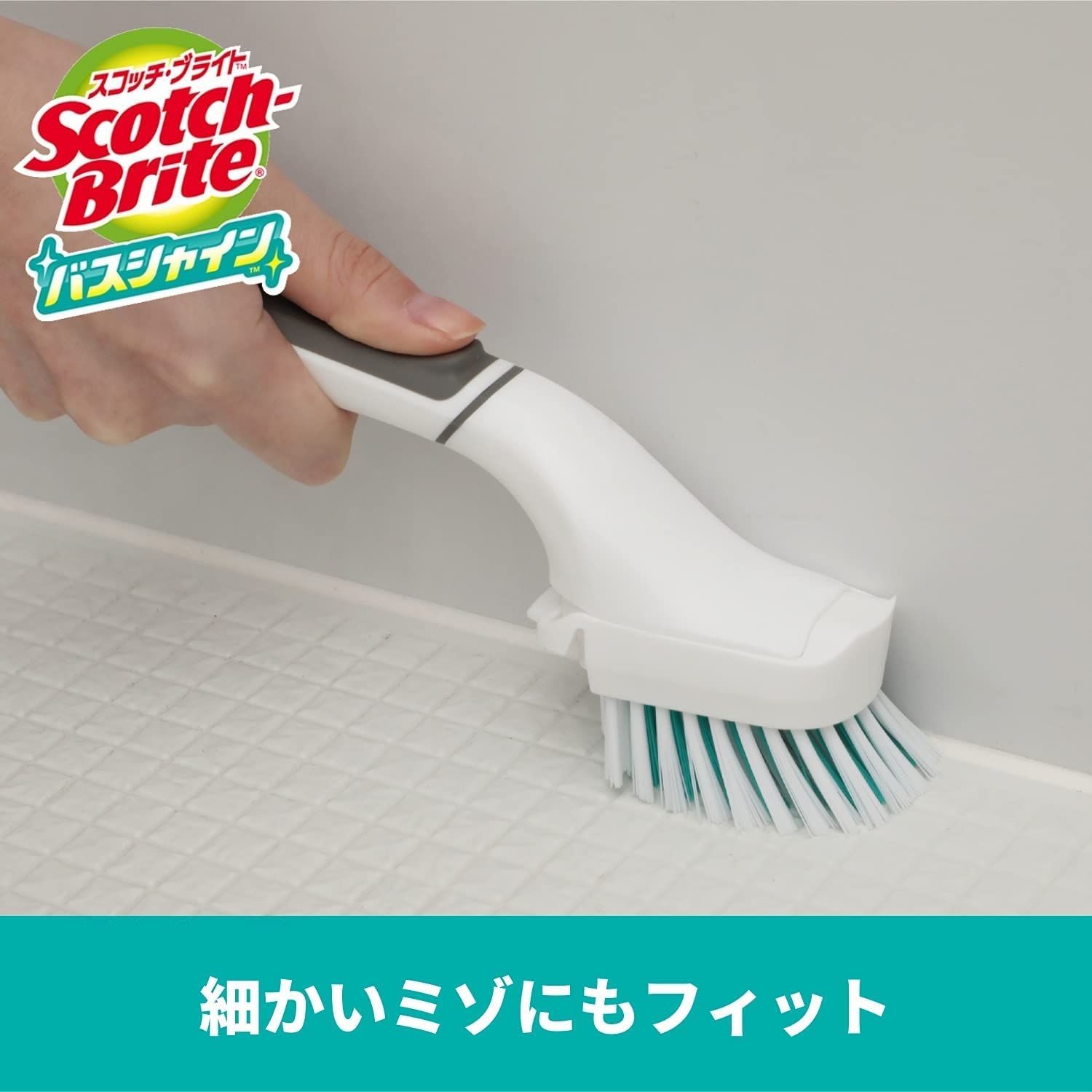 バスシャイン