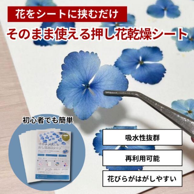 押し花シート 乾燥剤 3mm 6枚2点 押し花シート】初心者でも簡単！低