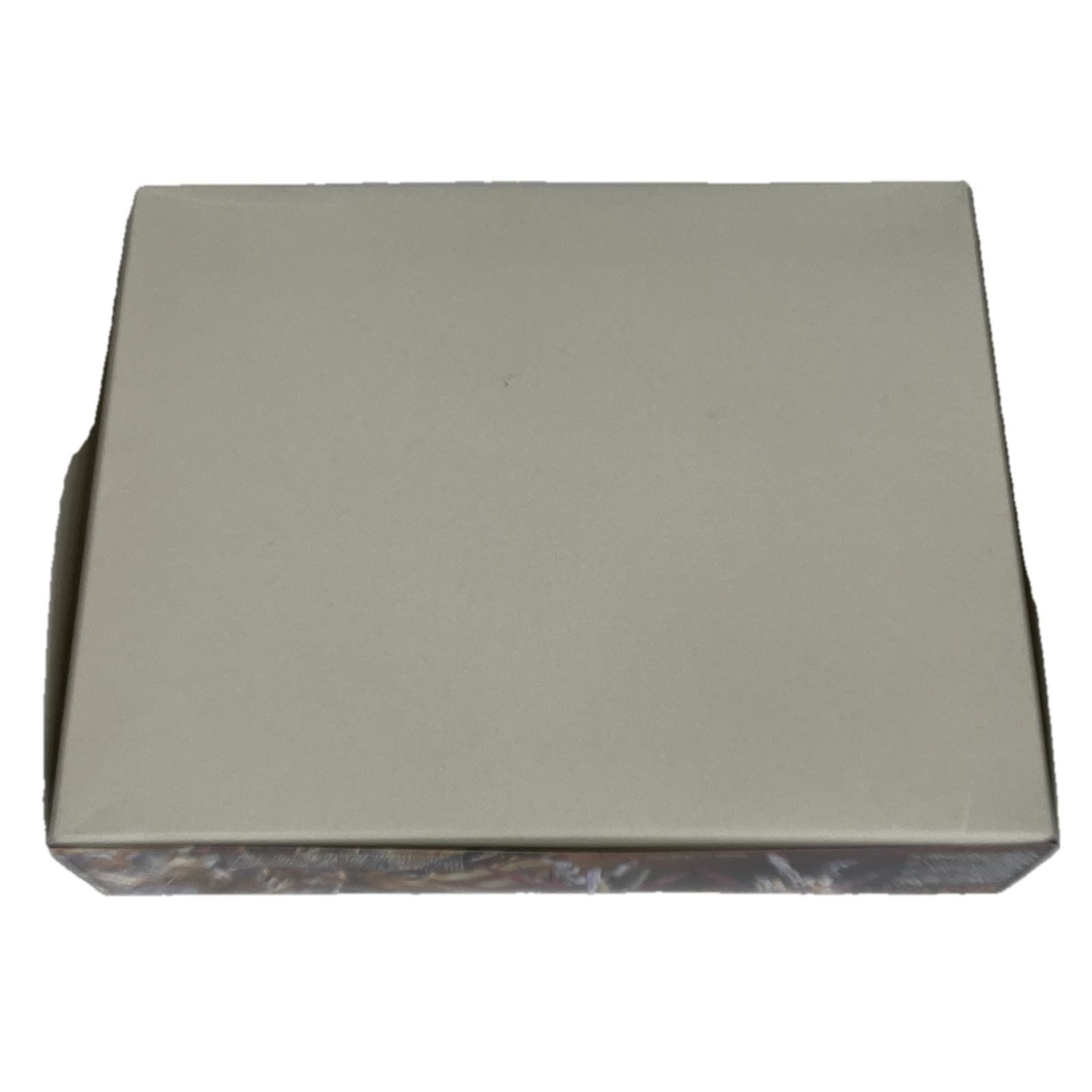 BANDAI 0165315 MG 1 100ZGMF-X42S-REVOLUTION ハイネ デスティニーガンダム ガンプラEXPO プラモデル 未組立 S10542677