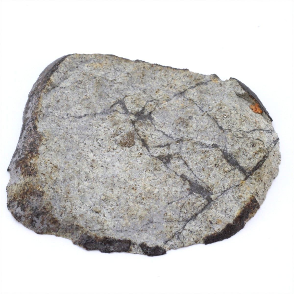 ビニャーレス 隕石 10.7g 普通コンドライトL6 石質隕石 標本 Vinales