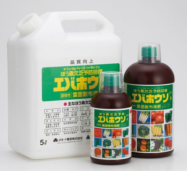 大容量ボトル アミノール エバホウソA液肥 5Lｘ1本 ～ほう素欠乏症 生育障害に速攻性の葉面散布予防剤～
