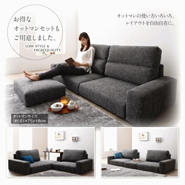 ロータイプ 3P