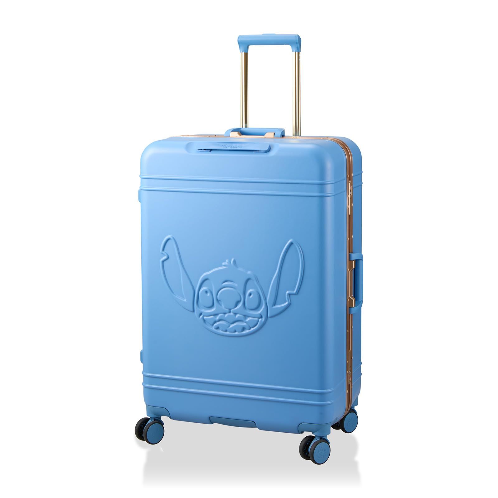 フレームタイプ