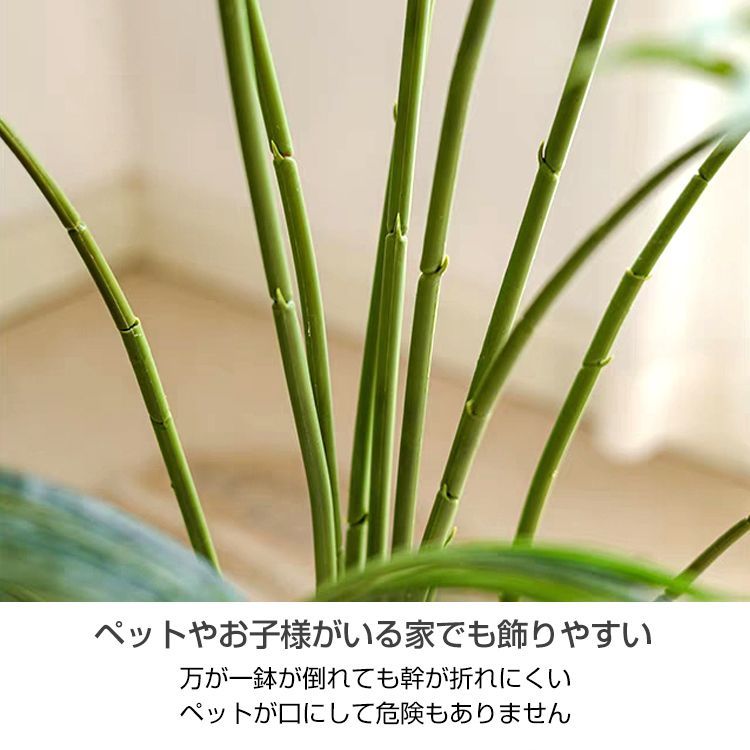 観葉植物