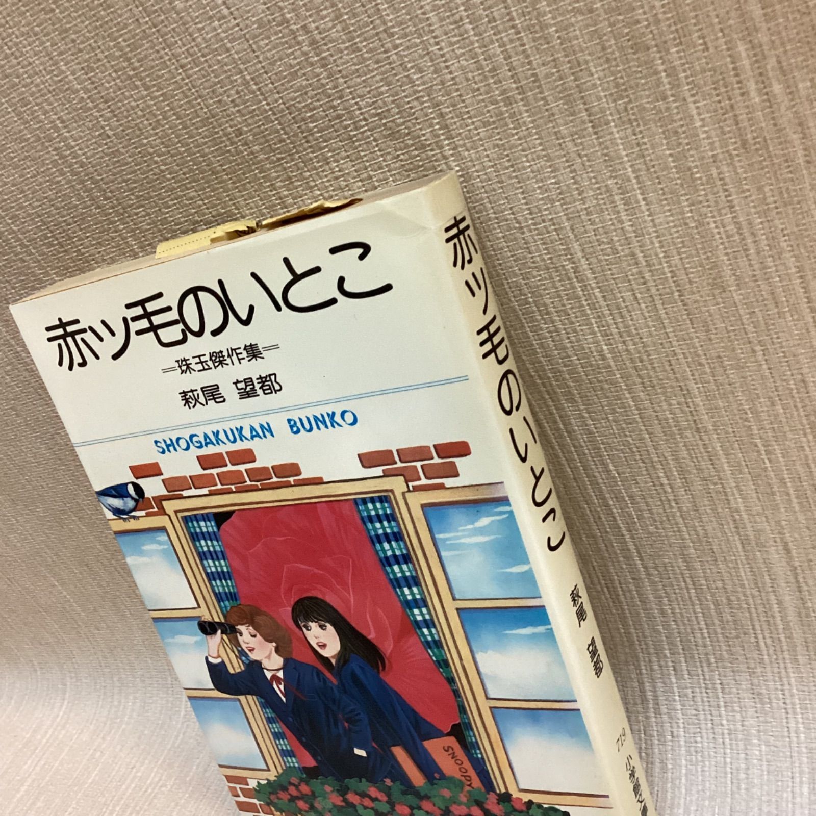 萩尾望都直筆サイン入り 赤ッ毛のいとこ 珠玉短編集 小学館文庫