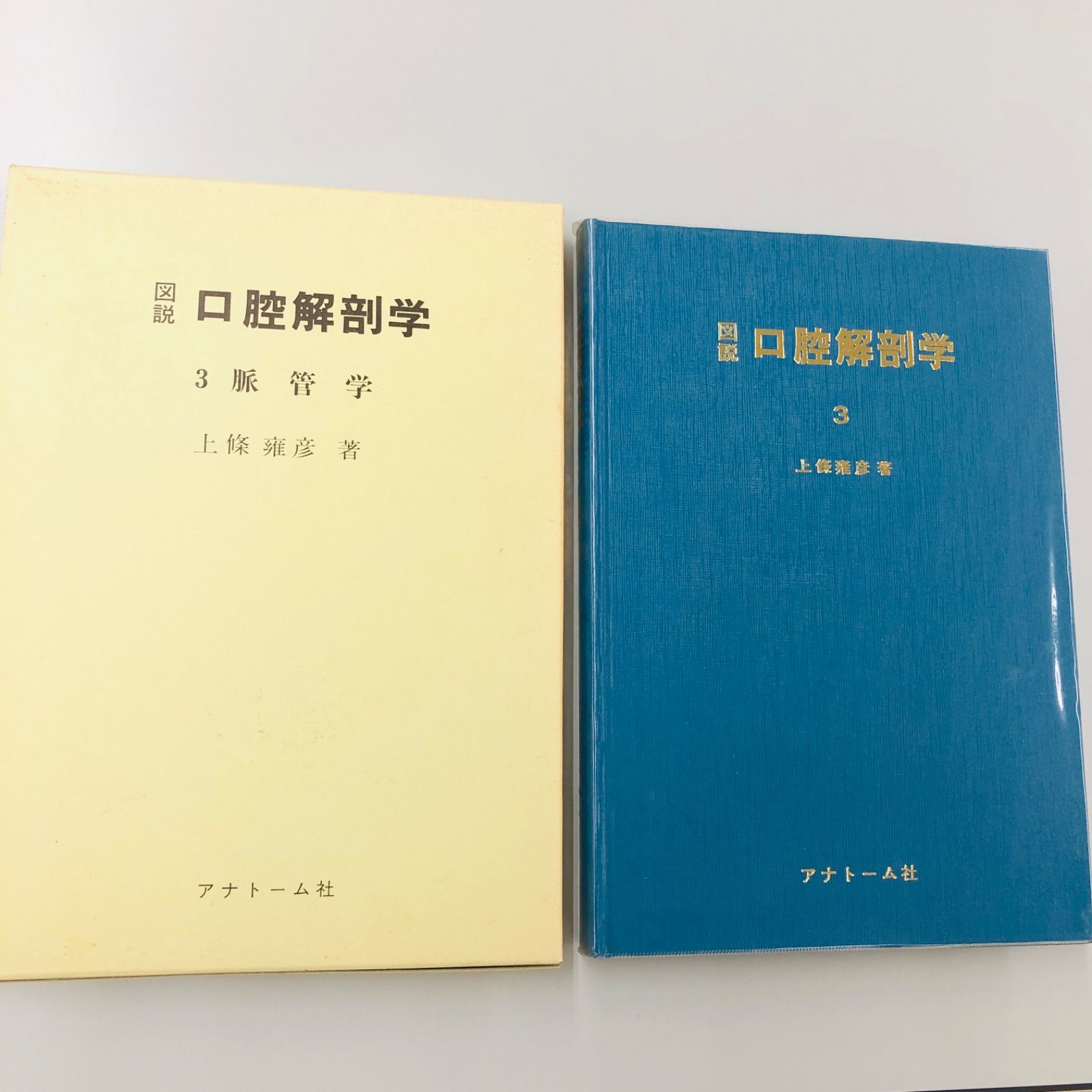 脈 オファー 管 学 雑誌