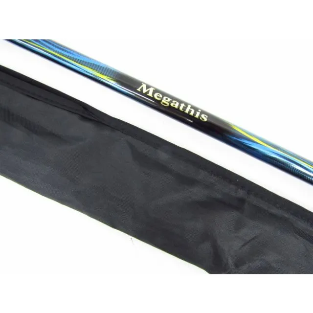 Megathis メガディス　AGS 125-50 限定特価)ダイワ 磯竿 メガディス AGS 1.25号50・N