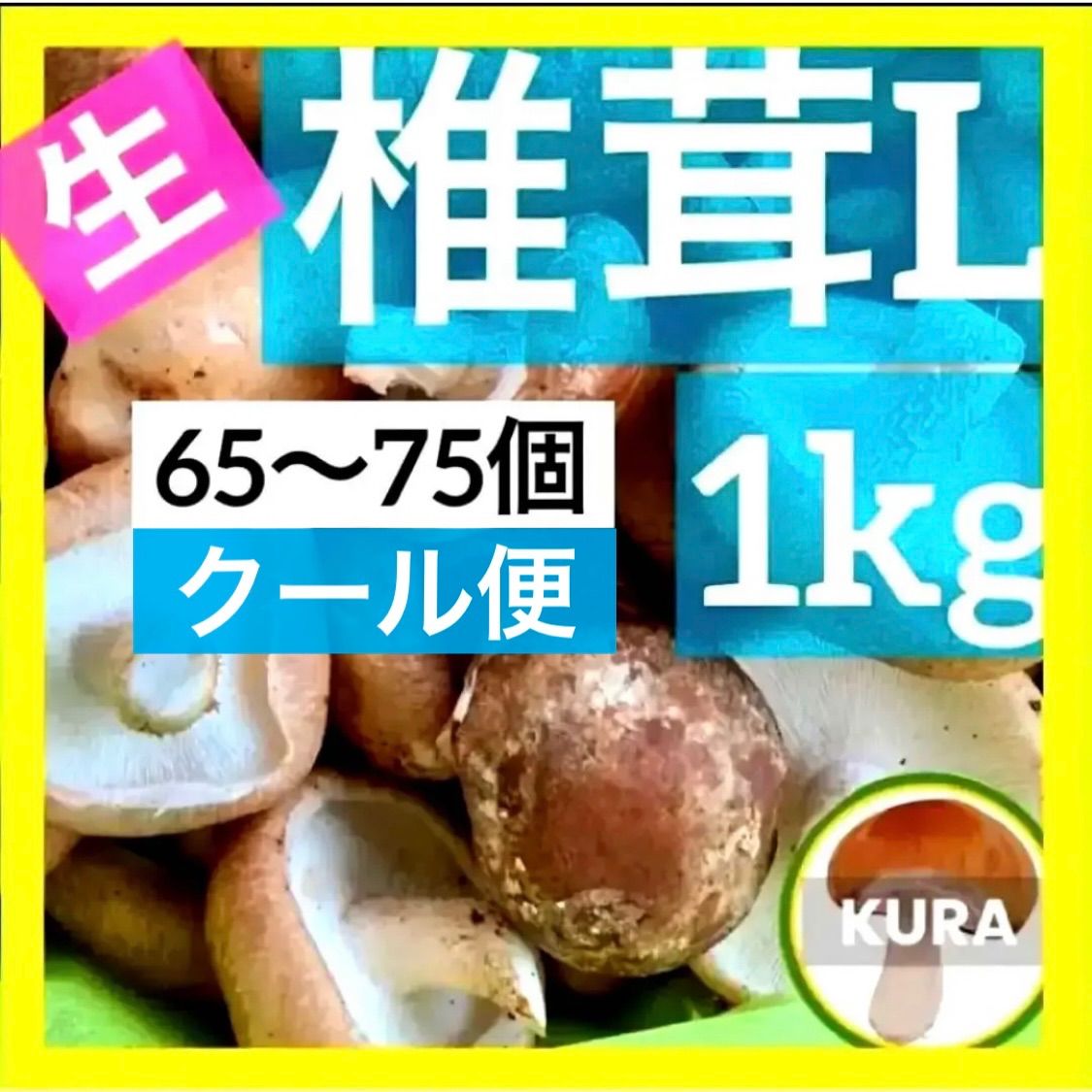 ☆大人気 クール便 送料込み☆兵庫県淡路島産 生しいたけ♪ Lサイズ 1