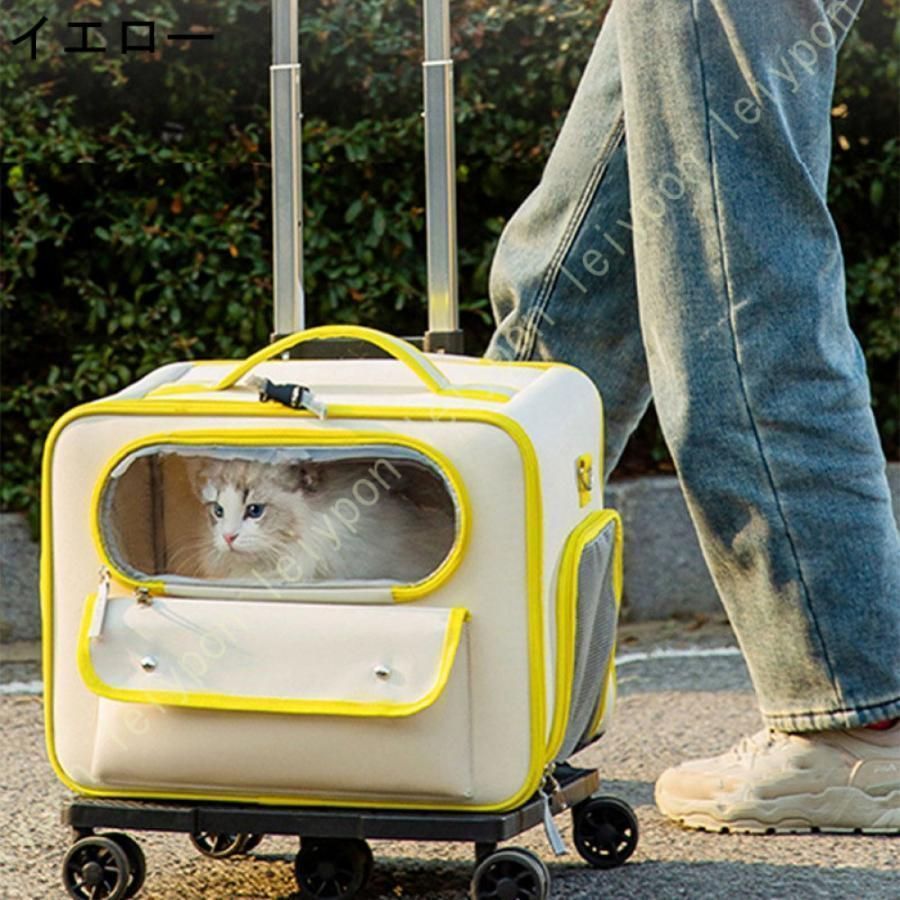 Coach 猫　ペットキャリー　型崩れあり Coach 猫 ペットキャリー 型崩れあり