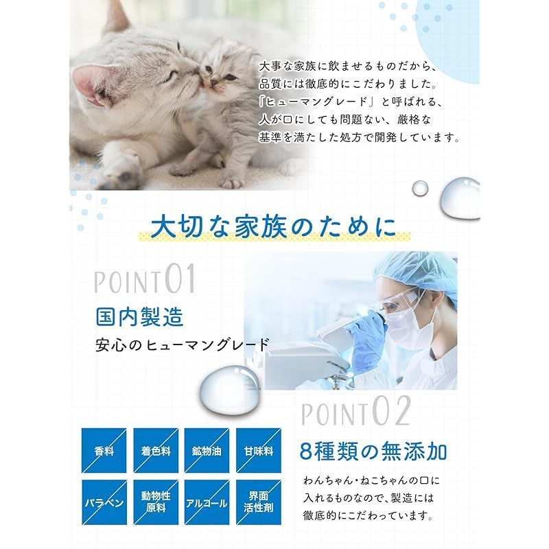 リザードン charizard 40/165 英語 海外 ポケモンカード 海外版 英語版