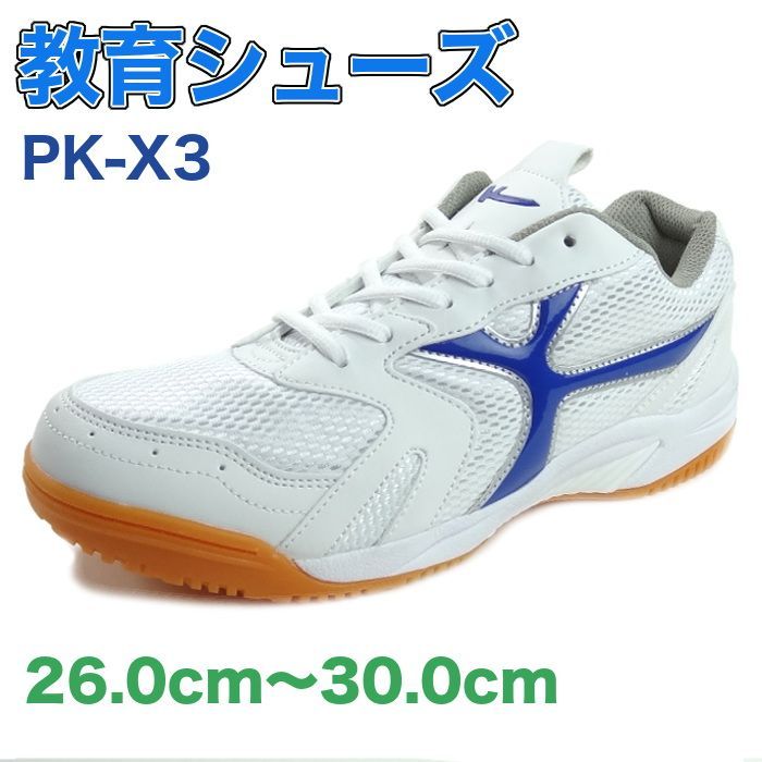 多分絶対 ぶるーす 24cm レディース シューズ 上履き 靴