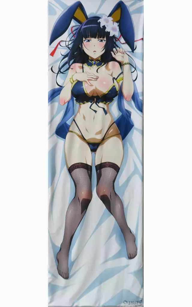 オーバーロード ナーベラル ガンマ フィギュア 抱き枕カバー2点セット オーバーロード ナーベラル ガンマ フィギュア 抱き枕カバー2点