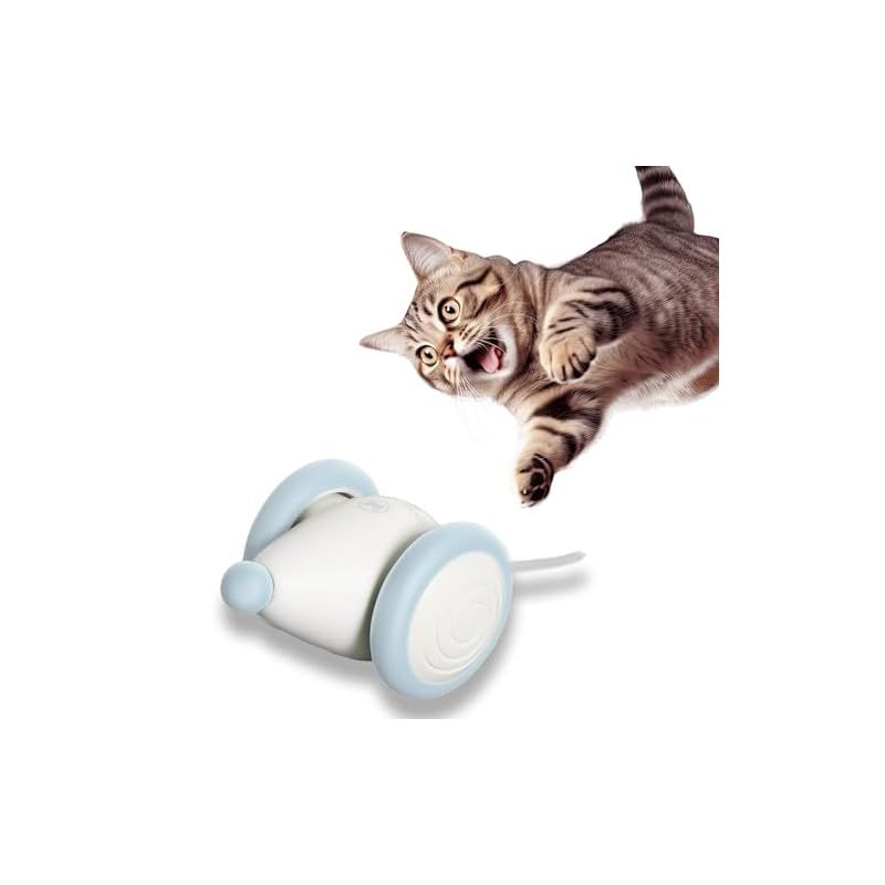 ◇大阪府 神戸市 配達無料！5ヶ月保証！◇未使用◇2025年製！◇洗濯機◇