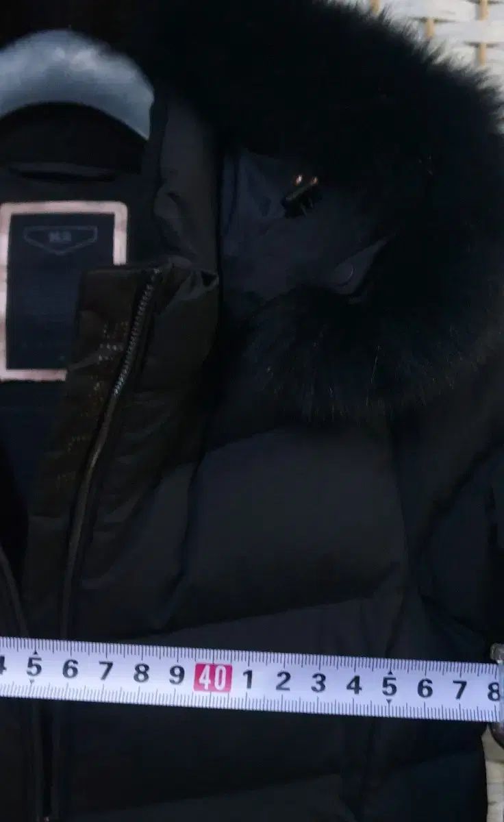 シグネチャー アリス