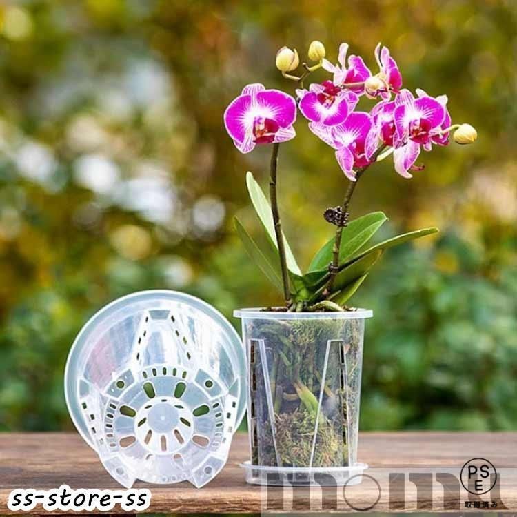 蘭鉢　植木鉢 楽天市場】20セット！胡蝶蘭 植木鉢 育苗ポット 透明 穴付き