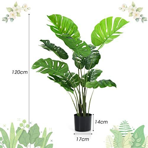 2本