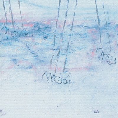 真島昌利 CD&レコード「ソロアルバム✕2枚(未開封)ましまろ✕5枚」セット 2025年最新】真島昌利の人気アイテム - メルカリ