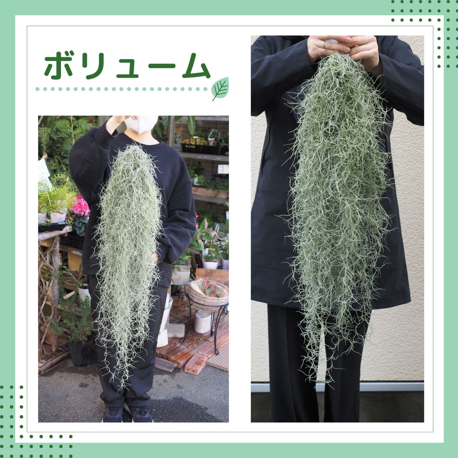 のサムネイル