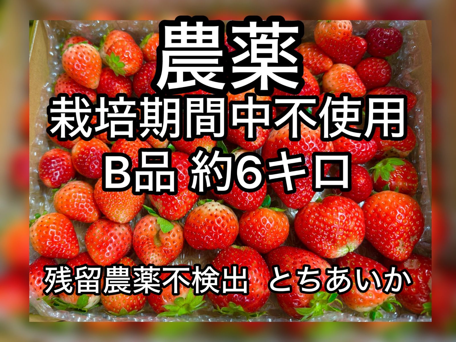 B品 6キロ