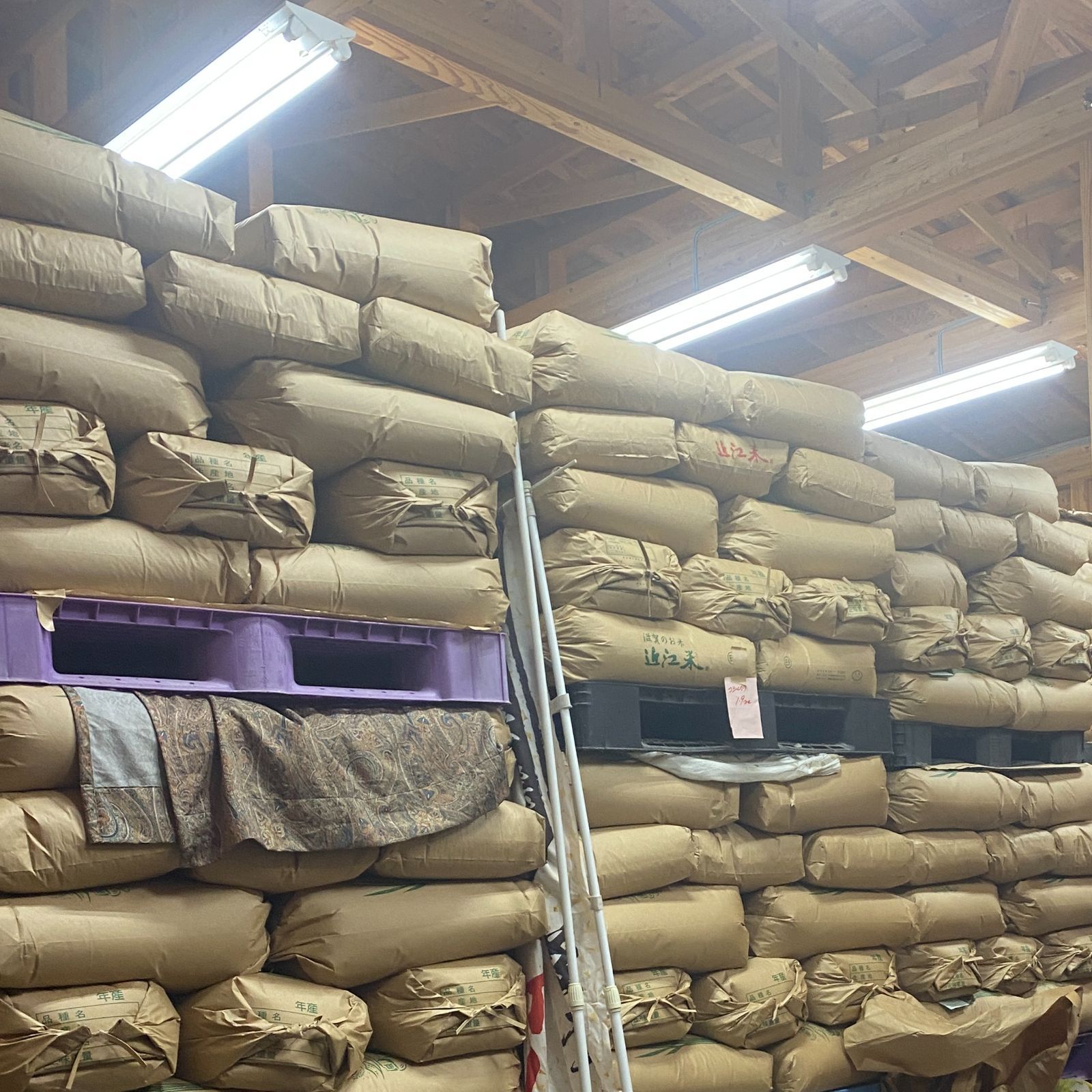 日本晴 玄米（30kg） 有機肥料で育てたお米 近江米 業務用 単一原料米