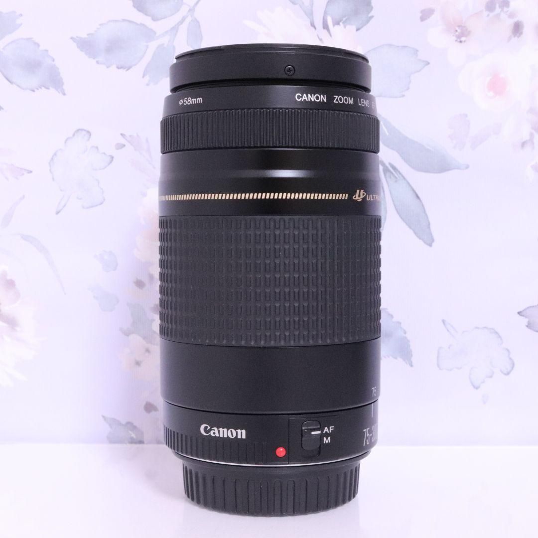 単焦点 EF50mm 1:1.8 II 望遠EF 75-300 mm（2セット） 単焦点 EF50mm 1:1.8 II 望遠EF 75-300 mm（2セット） Canon 単焦点