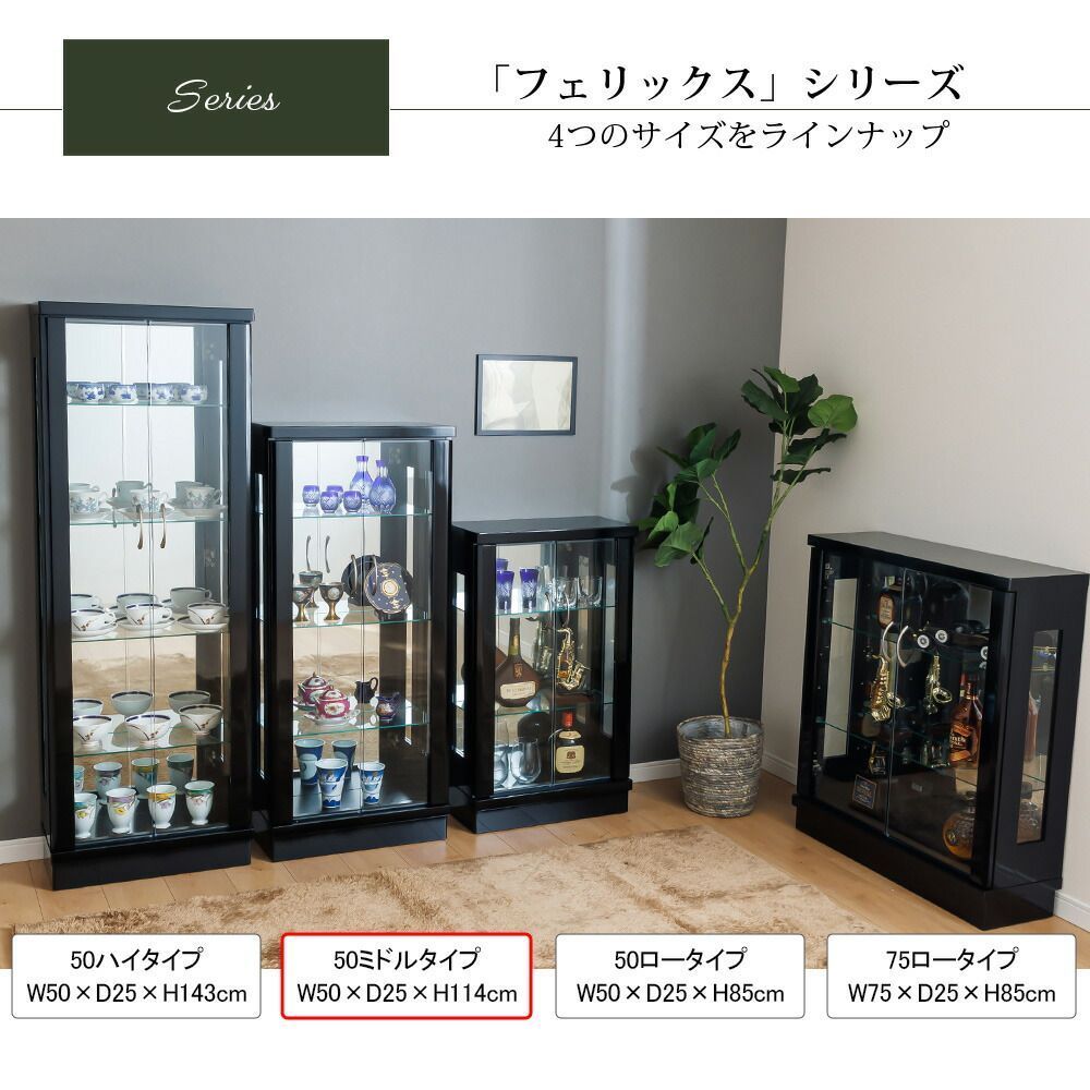 55%OFF / 1本限り】 ウィズプラン コレクションケース 大型 幅50
