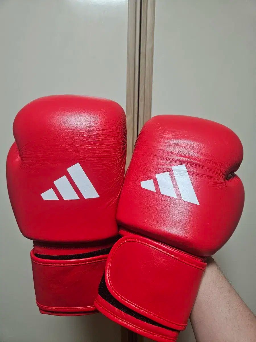 adidas アディダス 相葉 12 オンス