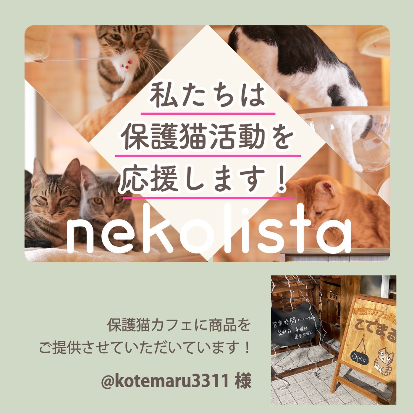 キャットタワー nekolista 据え置き型 多頭飼い 爪研ぎ 宇宙船