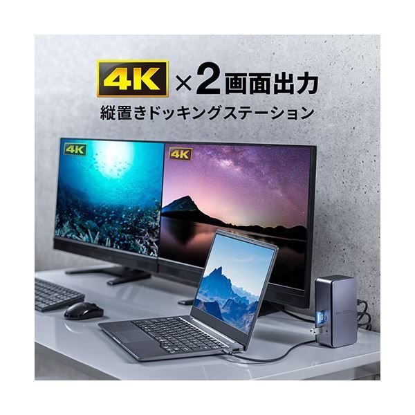 サンワサプライ USB Type-Cドッキングステーション HDMI×2画面出力対応 USB-CVDK12