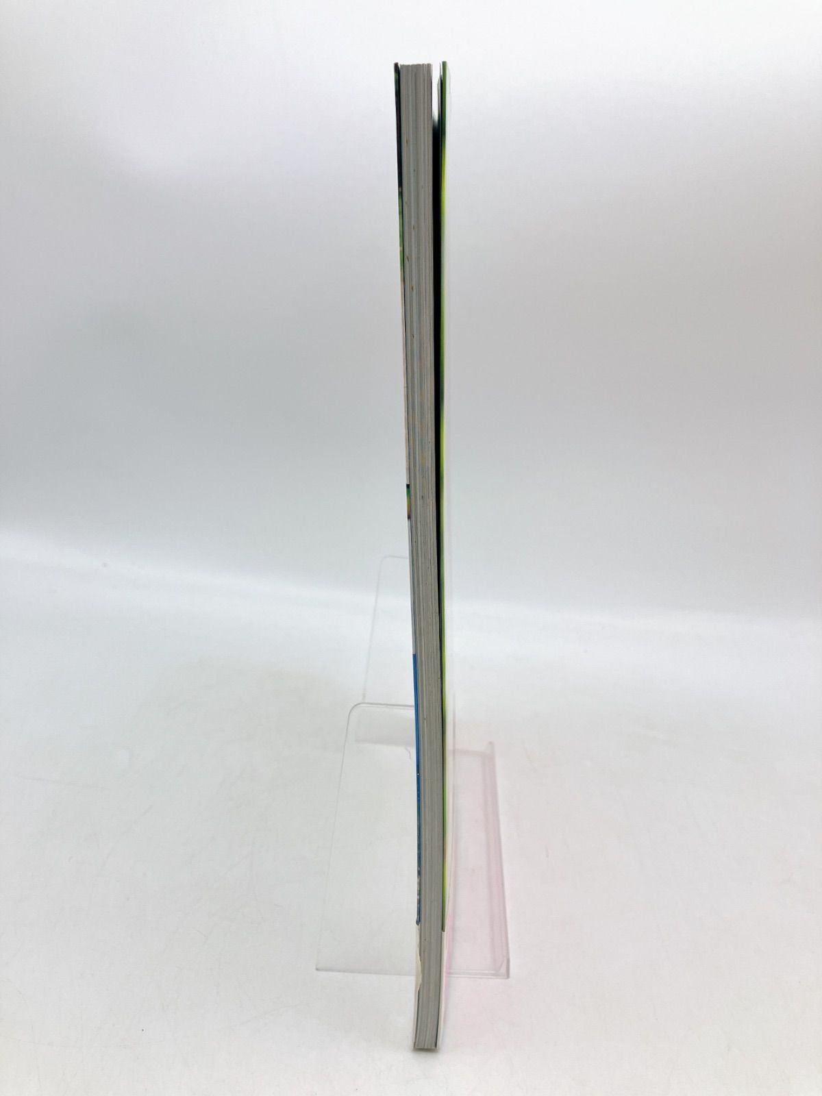 直筆サイン入り】安谷屋なぎさ Puppy Love ファースト写真集 - メルカリ