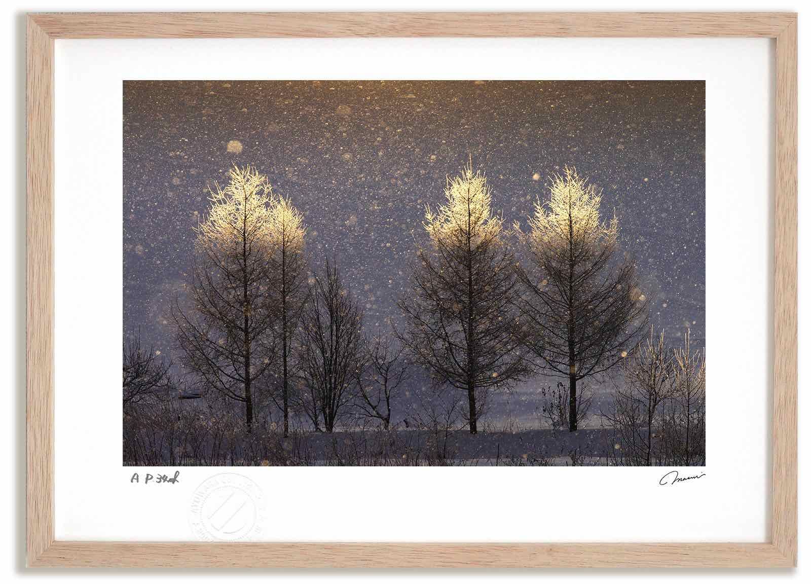 【落款印付】高橋真澄出版30周年記念写真集「風景」 Amazon.com: 高橋真澄出版30周年記念写真集『風景』(限定特装本