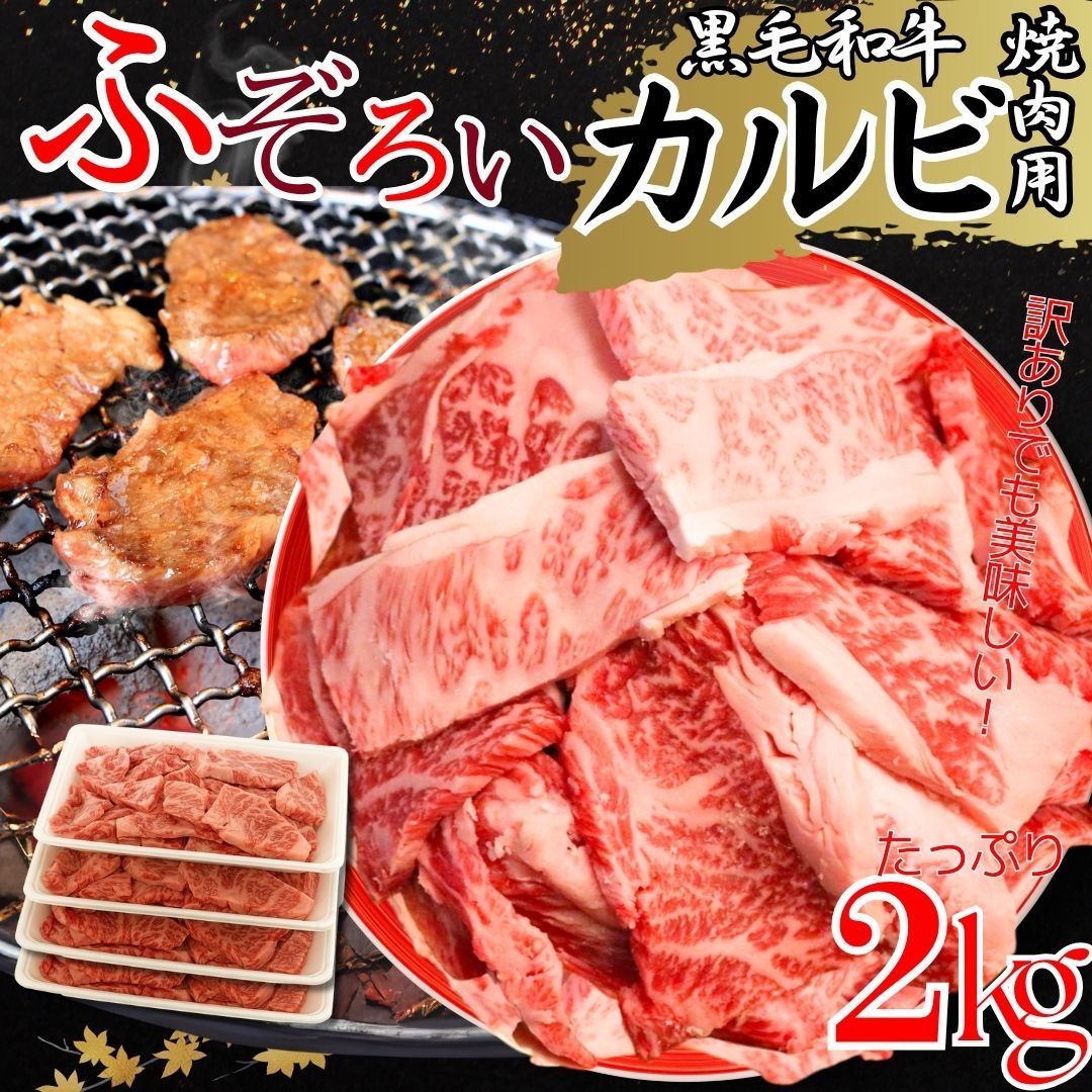 三国志（2-4） 古筆 湖南文山自筆（古文書古筆切茶道天龍寺僧侶中国美術） 三国志（2-4） 古筆 湖南文山自筆（古文書古筆切茶道天龍寺僧侶中国