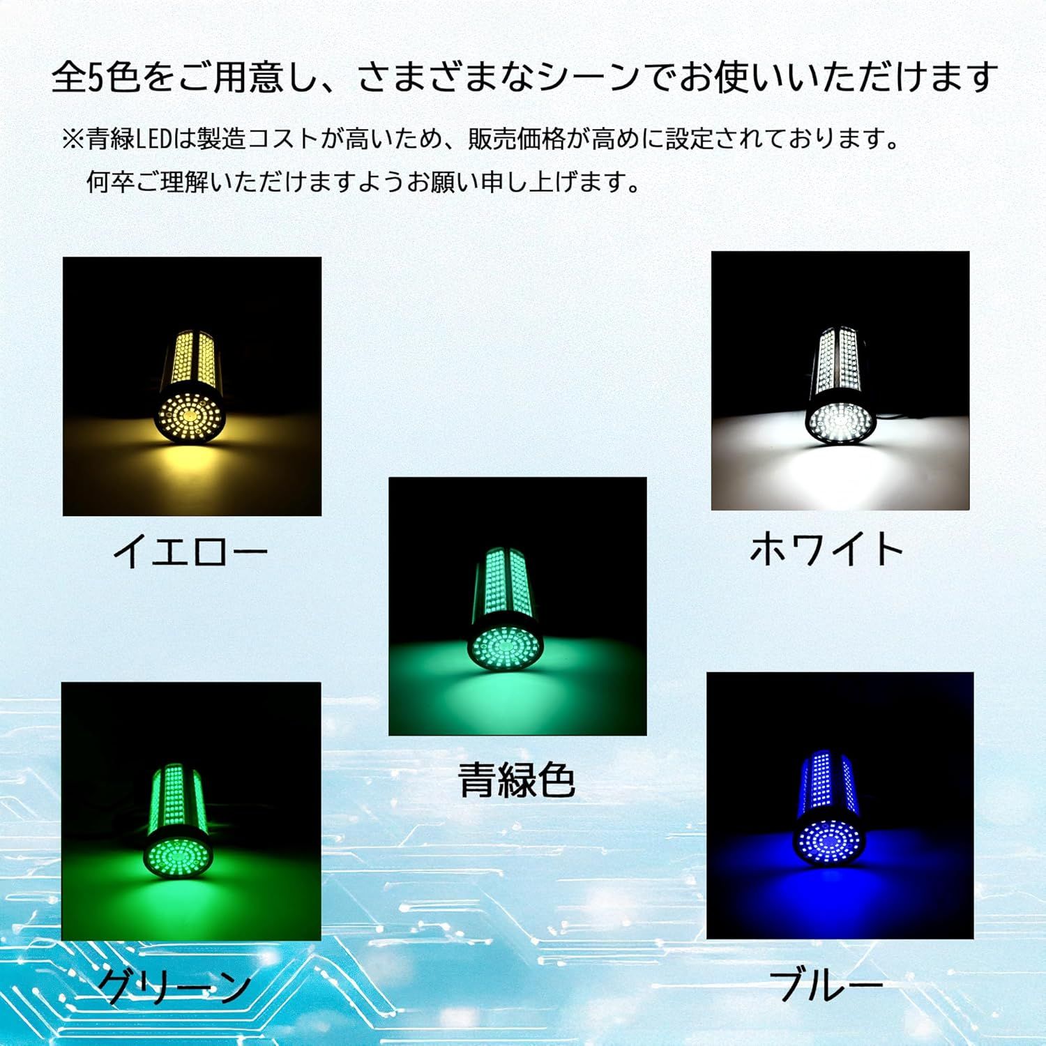 タチウオ釣り