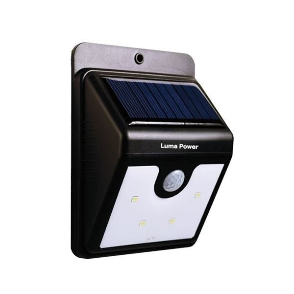 札付き✨コロラータタパルパ×臼田リンゼアナ・ソフト黒ポット発送・B&B