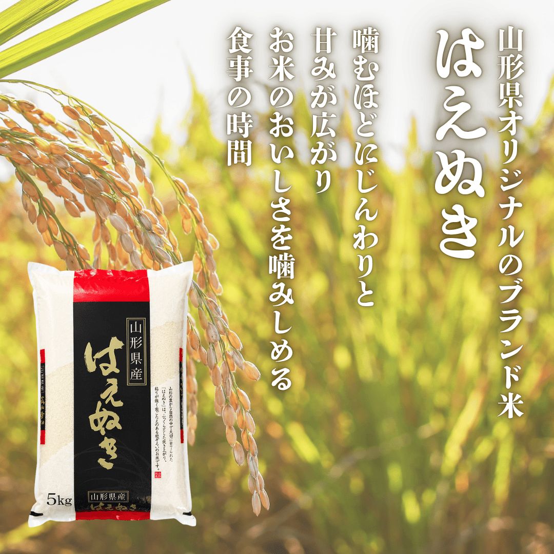 令和7年度米】山形県産はえぬき 精米5kg（5kg×1袋）/採れたてキッチン 