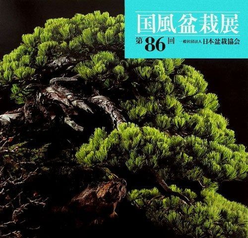 国風盆栽展 日本盆栽協会 第86回 盆栽 第85回 第88