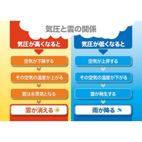 7営業日以内発送