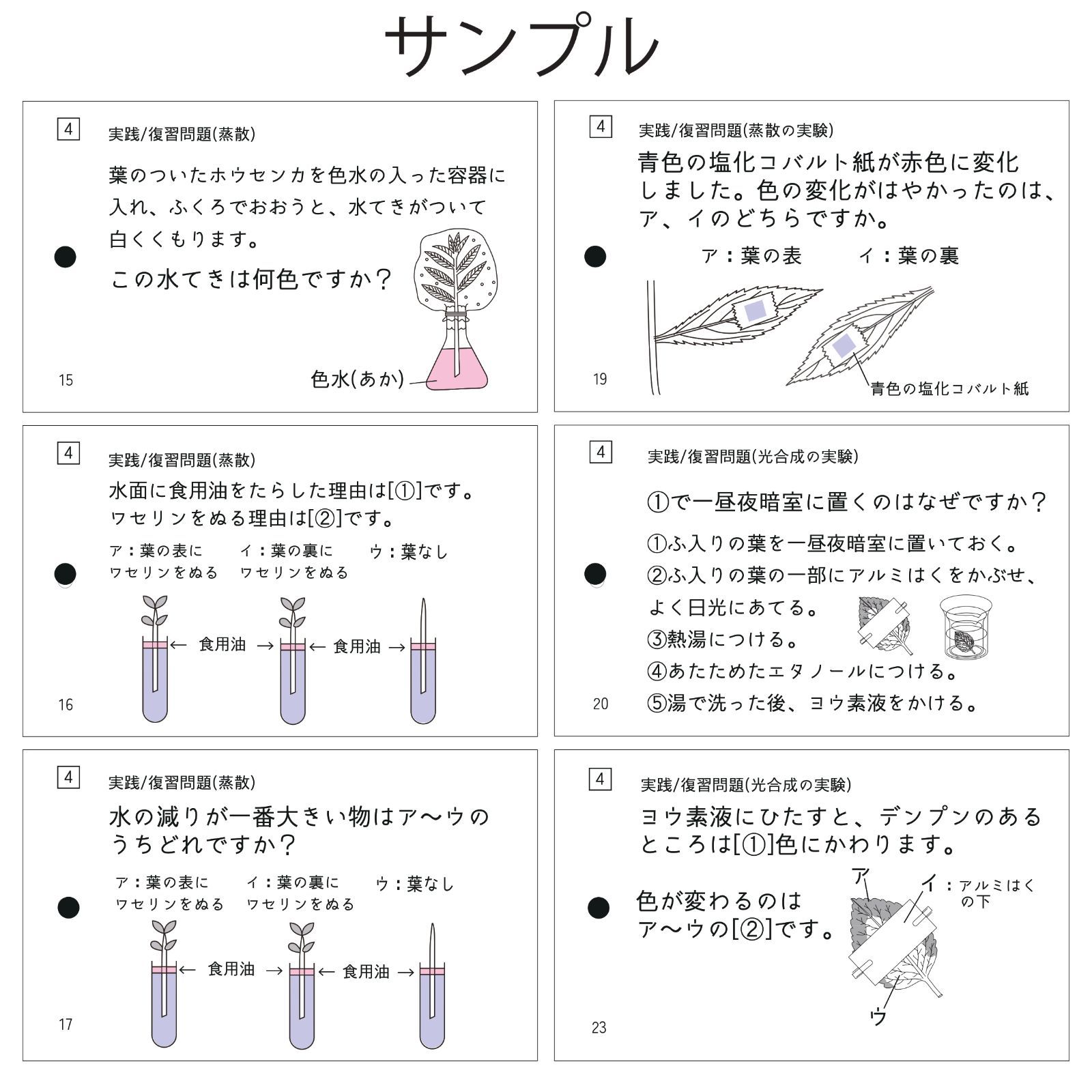 中学受験 生物マスター マスターシリーズ② 暗記カード - メルカリ