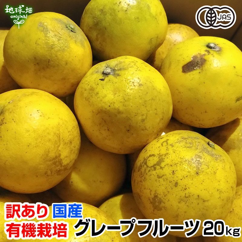 訳あり 有機グレープフルーツ 20kg 国産 熊本県産 化学肥料・除草剤・防腐剤不使用 有機JAS 柑橘 酸味が強いダンカン種 業務用 規格外 発送期間4～6月