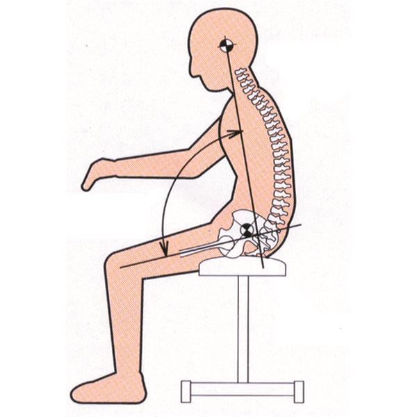 セブンポーズチェア用