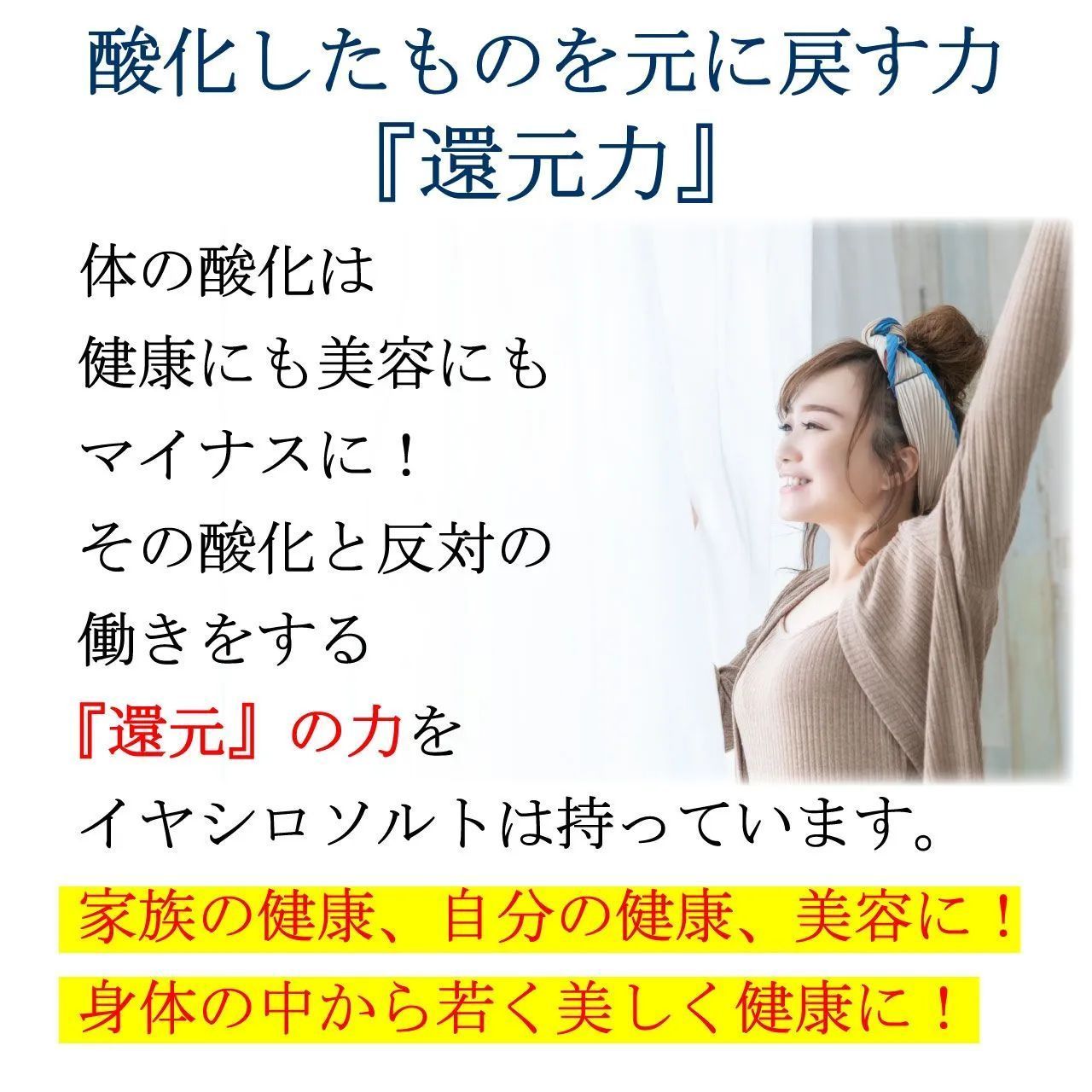 天然塩 ソルト