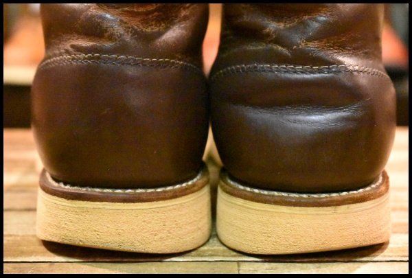 8160 アイリッシュセッター