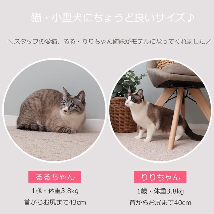 ネンネクーシ
