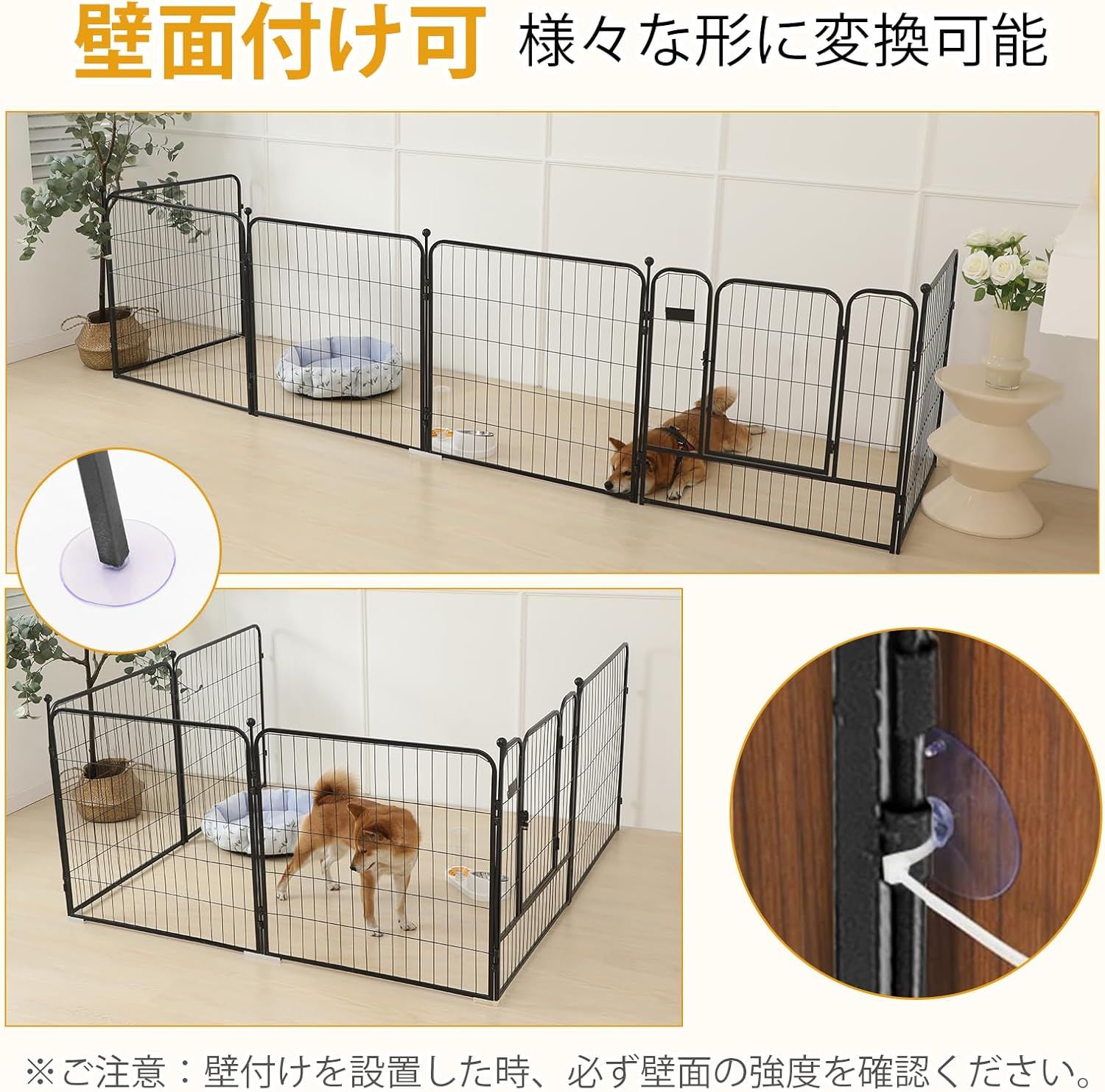 犬
