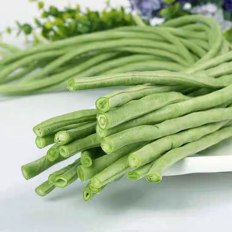 珍しく 紫つるなしささげ 长豇豆 野菜種 10粒 最大80％オフ！ - 根菜