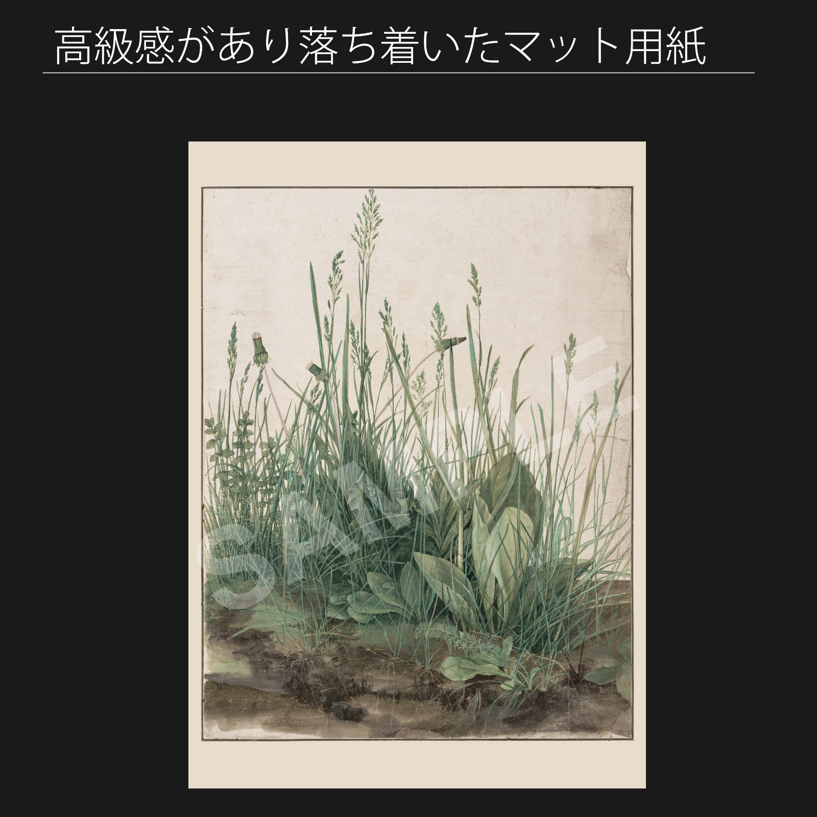 アルブレヒト デューラー 大きな芝片 芝草 1503年 アートポスターA2 マット紙 フレーム付 IN