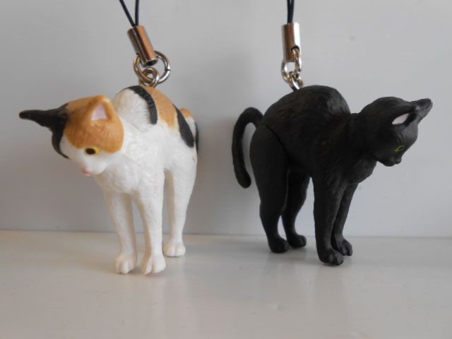 ♯Jti11FZ陽だまりの伸び猫ストラップ全6種